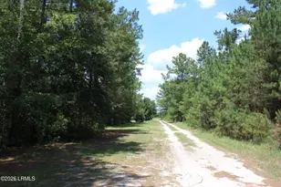 3222 Charleston Hwy, Varnville, SC 29944 - Photo 8