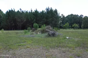 3222 Charleston Hwy, Varnville, SC 29944 - Photo 12
