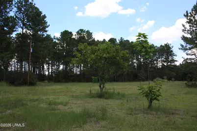 3222 Charleston Highway, Varnville, SC 29944 - Photo 10