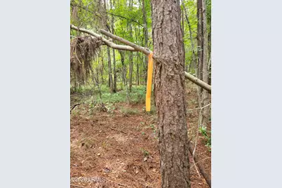 Tbd Toomerville Loop, Hardeeville, SC 29927 - Photo 6