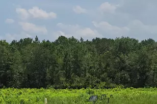 Tbd Toomerville Loop, Hardeeville, SC 29927 - Photo 1