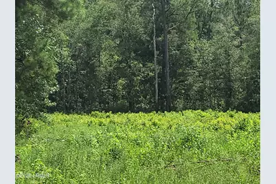 Tbd Toomerville Loop, Hardeeville, SC 29927 - Photo 2