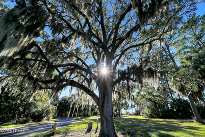 55 Shearwater Drive, Hilton Head, SC 29926 - Photo 12