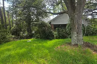 65 Furman Scotia Hwy, Estill, SC 29918 - Photo 4