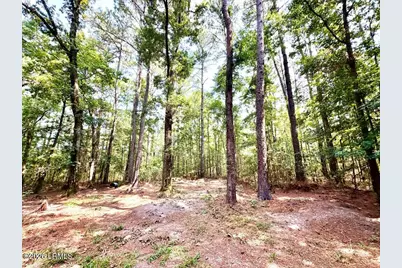179 Song Bird Drive, Round O, SC 29474 - Photo 4