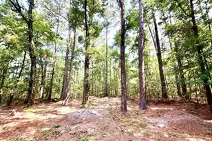 179 Song Bird Dr, Round O, SC 29474 - Photo 4