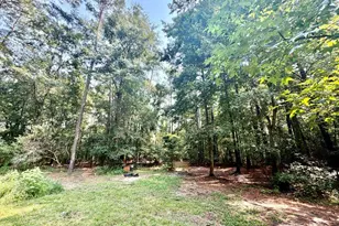 179 Song Bird Dr, Round O, SC 29474 - Photo 2
