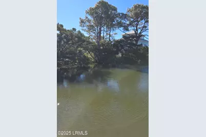 121 Harbour Key Drive, Saint Helena Island, SC 29920 - Photo 14