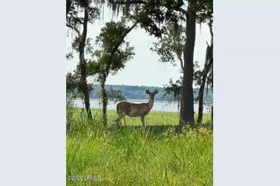 7 Turnstone Drive N, Beaufort, SC 29907 - Photo 2