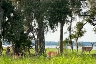 7 Turnstone Dr N, Beaufort, SC 29907 - Photo 1