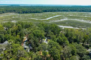 14 Heron Point, Okatie, SC 29909 - Photo 46