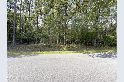 76 Honey Drive, Walterboro, SC 29488 - Photo 4