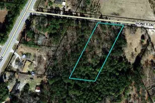 90 Honey Dr, Walterboro, SC 29488 - Photo 1