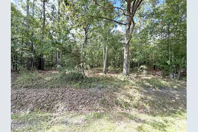 90 Honey Drive, Walterboro, SC 29488 - Photo 4