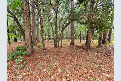 16 Cutter Circle, Bluffton, SC 29909 - Photo 2