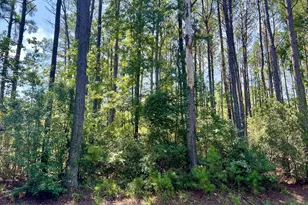 387 Founders Oak Wy, Yemassee, SC 29945 - Photo 2