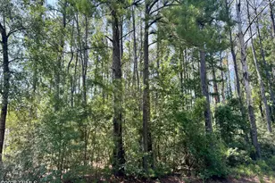 387 Founders Oak Wy, Yemassee, SC 29945 - Photo 4