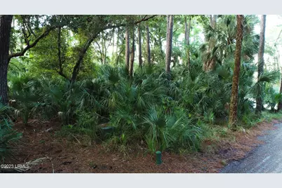 375 Yellow Tang Road, Ladys Island, SC 29920 - Photo 2