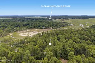 226 Callawassie Dr, Okatie, SC 29909 - Photo 56