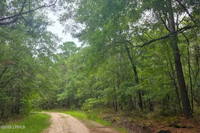 00 Wade Hampton Road, Hampton, SC 29924 - Photo 2
