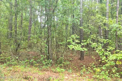 00 Wade Hampton Road, Hampton, SC 29924 - Photo 12