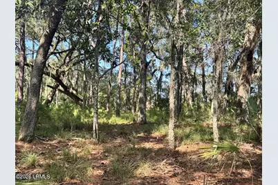 7 N Point Trail, Beaufort, SC 29907 - Photo 4