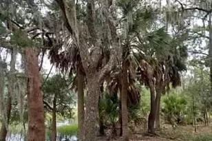 8 Governor Blake Dr, Beaufort, SC 29907 - Photo 1