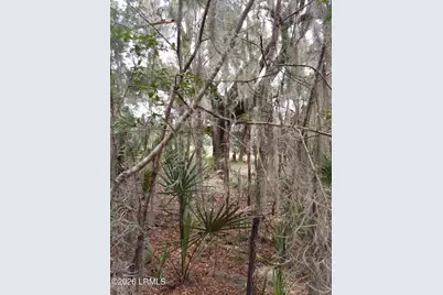 8 Governor Blake Drive, Beaufort, SC 29907 - Photo 2