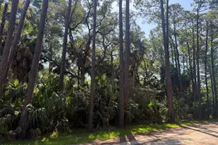 706 Seahorse Rd, Ladys Island, SC 29920 - Photo 1