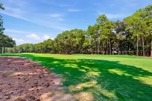 29 Pheasant Run, Hilton Head, SC 29926 - Photo 26