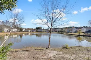 25 Pennyroyal Way, Beaufort, SC 29906 - Photo 50