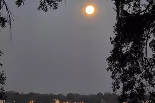 20 Audubon Rd, Beaufort, SC 29907 - Photo 72