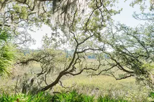 832 Marsh Dunes Rd, Ladys Island, SC 29920 - Photo 20
