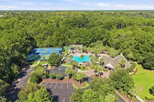 118 Spring Meadow Dr, Bluffton, SC 29910 - Photo 62