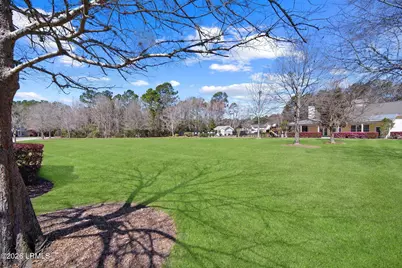 95 Plumgrass Street, Bluffton, SC 29910 - Photo 44