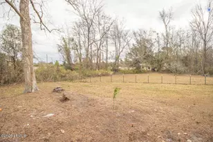 111 Hoover St S, Hampton, SC 29924 - Photo 22