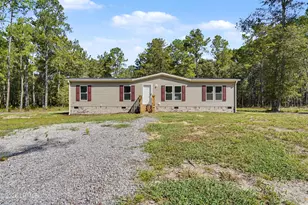 244 Saturn Ln, Walterboro, SC 29488 - Photo 1