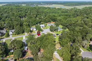 42 Purrysburg Dr, Beaufort, SC 29907 - Photo 40