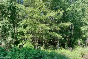 511 Chicora Ln, Yemassee, SC 29945 - Photo 16