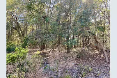 31 Honeysuckle Lane, Beaufort, SC 29907 - Photo 6