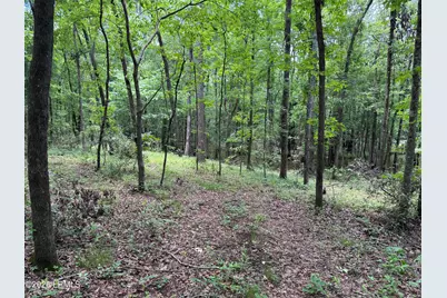 Tbd B Confederate Highway, Fairfax, SC 29827 - Photo 10