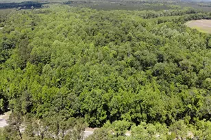 Tbd B Confederate Hwy, Fairfax, SC 29827 - Photo 1