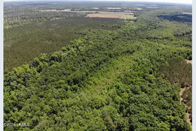 Tbd B Confederate Highway, Fairfax, SC 29827 - Photo 2