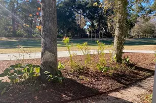 714 N Reeve Rd, Saint Helena Island, SC 29920 - Photo 34