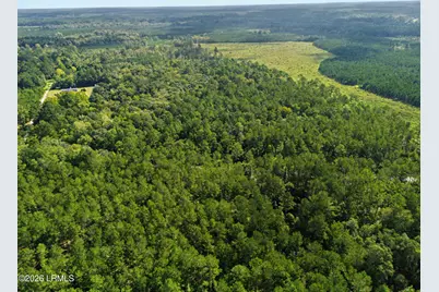 0 Tree Farm Road, Walterboro, SC 29488 - Photo 26
