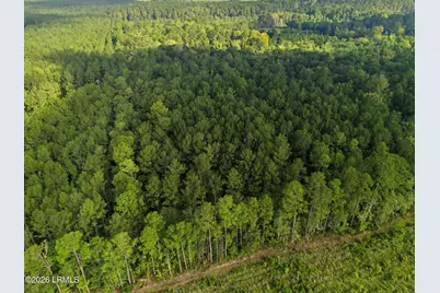 0 Tree Farm Road, Walterboro, SC 29488 - Photo 10