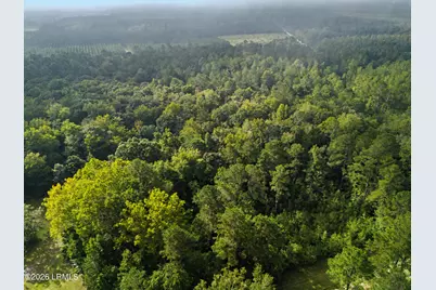 0 Tree Farm Road, Walterboro, SC 29488 - Photo 4