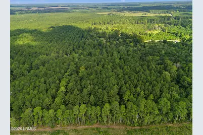 0 Tree Farm Road, Walterboro, SC 29488 - Photo 22