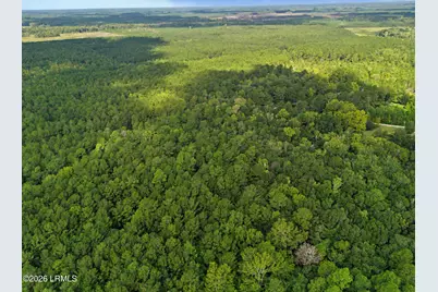 0 Tree Farm Road, Walterboro, SC 29488 - Photo 18