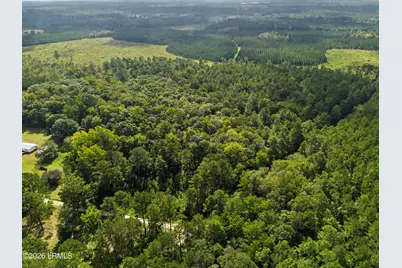 0 Tree Farm Road, Walterboro, SC 29488 - Photo 24